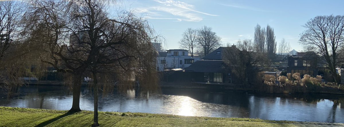 Sunshine is a friend of mine ☀️