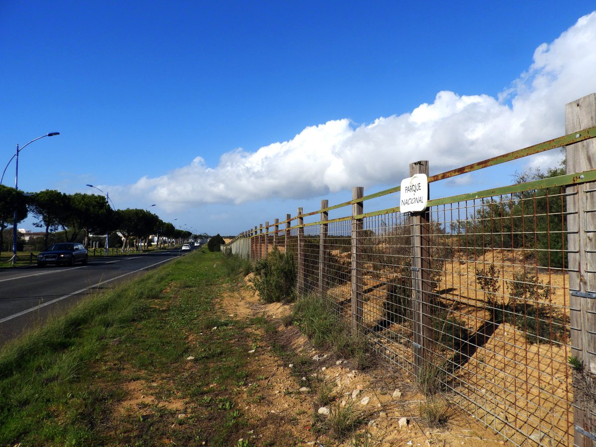 Museo Nacional de Ciencias Naturales tweet media