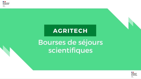 PartenariatsESR's tweet photo. 💡 Lancement de la campagne "Bourses #AGRITECH" 🌱Ambassade de #France en #Belgique 🇲🇫🇧🇪
🌿 En 2023 notre Ambassade met en œuvre un programme spécifique de bourses pour financer des séjours de recherche ! 
Pour en savoir plus et candidater :
https://t.co/9epacdu56b https://t.co/wnuGIwh9Oc