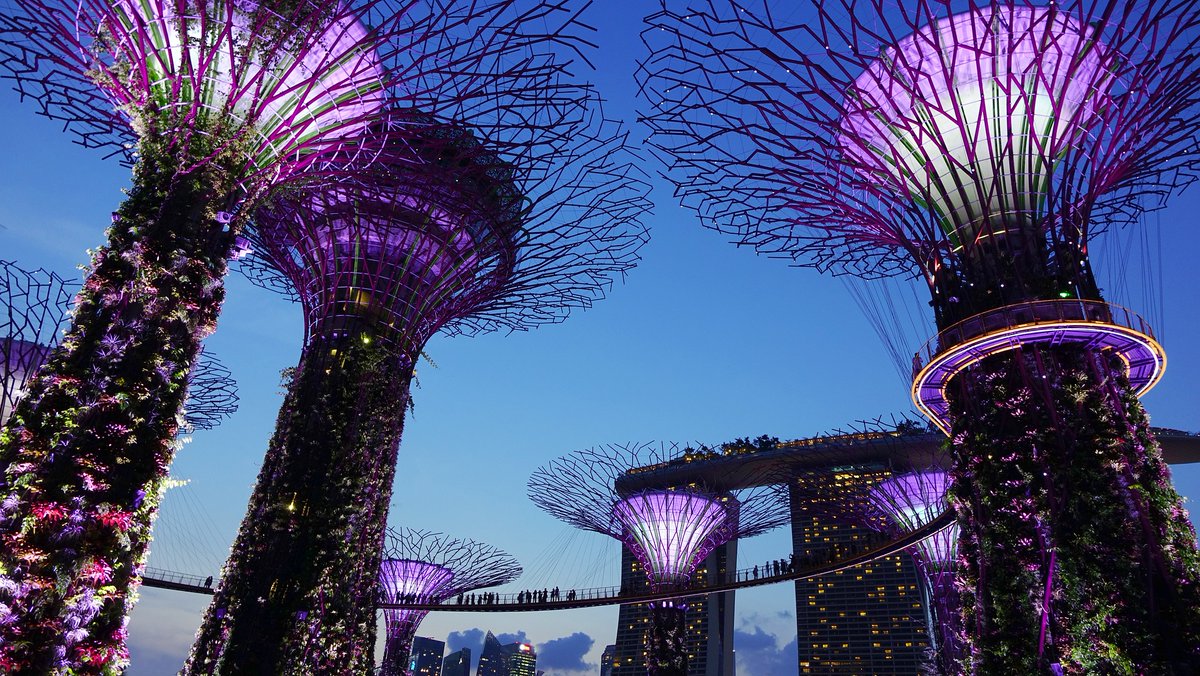 fixnox's tweet photo. Our next quarterly in-person FIX protocol training class in Singapore is on 22nd of March 2023. Please contact us for pricing and further information.

https://t.co/MNbSwOEVJS

#FIXProtocol #electronictrading #singapore https://t.co/EUqFCf575x