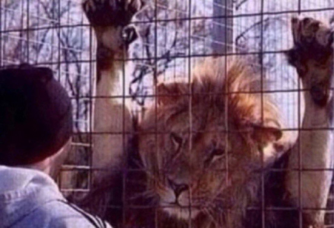 سراج | oden tweet media