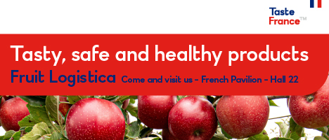 [Happening NOW📢] FRENCH Pavilion and exhibitors are welcoming you at <a href="/Fruit_Logistica/">🍉 FRUIT LOGISTICA 🍏</a> 2023! Catalog's here for better meet-ups ➡️businessfrance.jpm-associes.com/fruit-logistic… @BF_Food @BF_DACH <a href="/FruitVegFromFR/">Fruit & Veg From France</a>#fruit #vegetables #TasteFrance