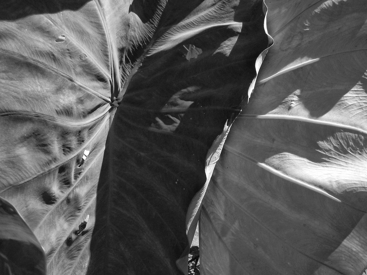 I heard that the images shot by CCD are popular now, and it is said that it has a Y2K retro flavor😩