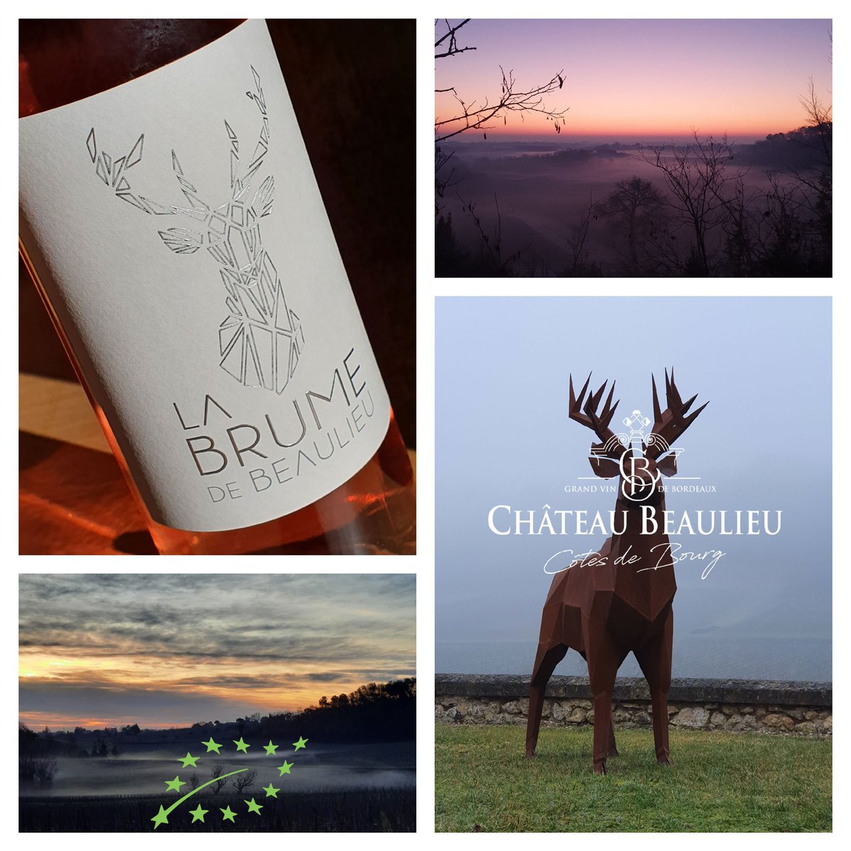 Our wines are the result of an encounter: a passionate family and a richness of terroirs. Our commitment, we have reinforced it by a conversion to Organic Agriculture which becomes official on the 2022 vintage.

LA BRUME DE BEAULIEU 2022 rosé BIO