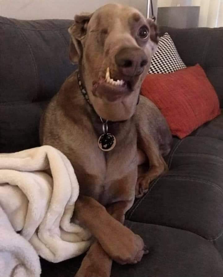 No body loves me because I am not perfect 😔