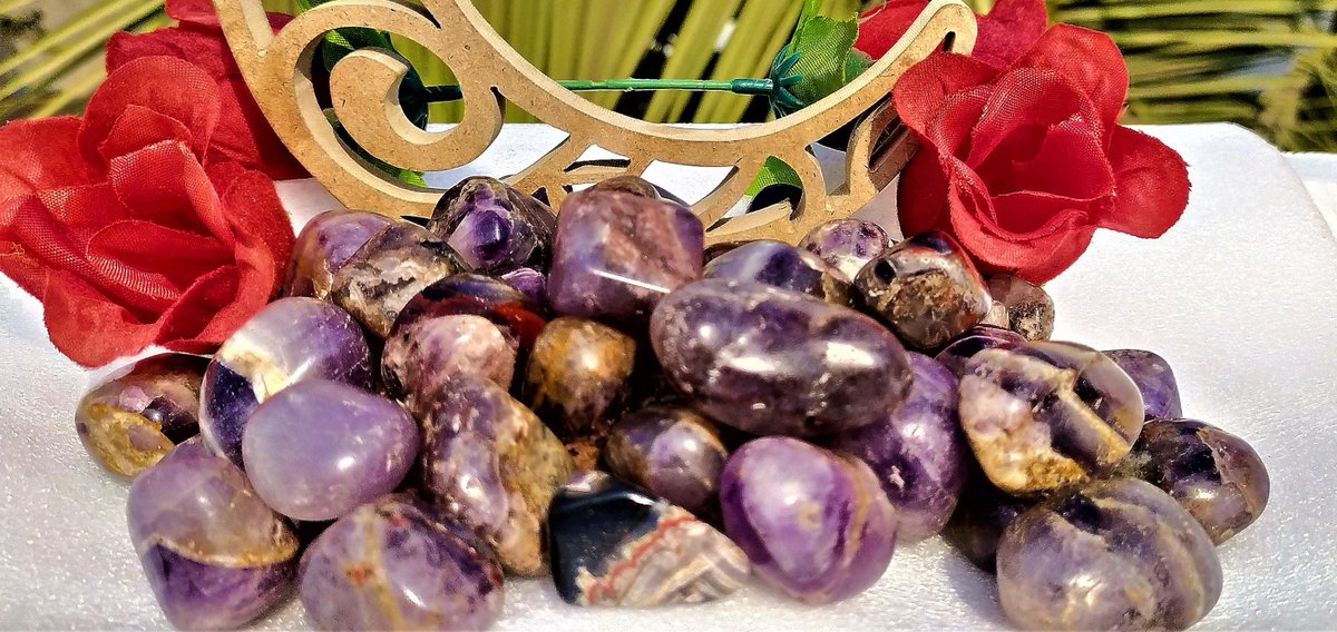 general_alfa's tweet photo. Thanks for the kind words! ★★★★★ "Good quality stones with great offer. Seller was very friendly and product was well packed at the time of delivery." Steevenson dsilva https://t.co/1qU98ZtFn1 #etsy #purple #housewarming #red #crystalhealing #auralitestone #canadianaur https://t.co/KSTEEv9YI9
