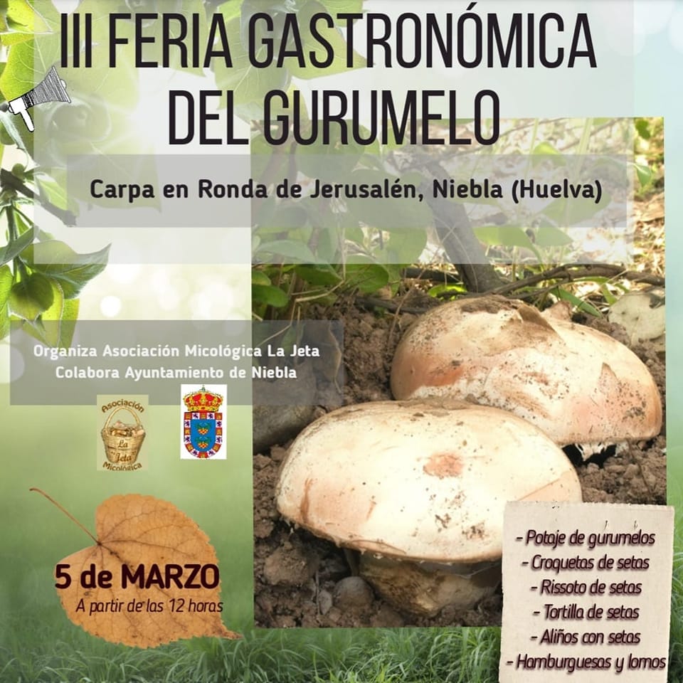 Huelva Ocio y Playas (@huelvaocioypla1) on Twitter photo 