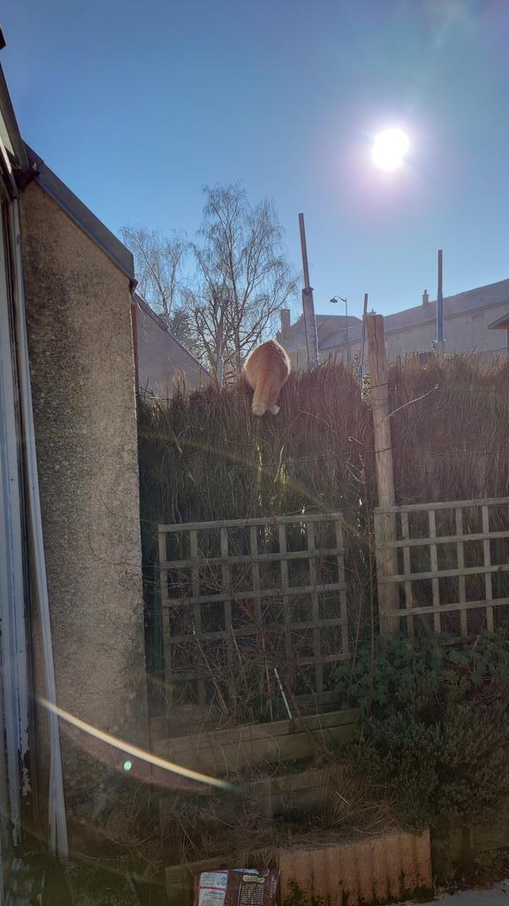 JeanBaptisteCat's tweet photo. Y'a un truc chez le voisin , ze vais voir https://t.co/nbSMVAxnp6