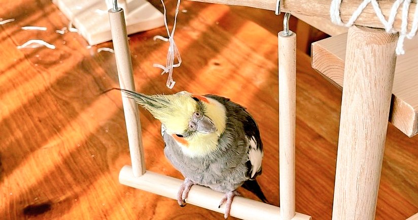 もう会えないのかな、