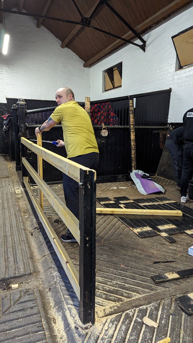 My humans are hard at work, upgrading my stables! 
#teamworkmakesthedreamwork