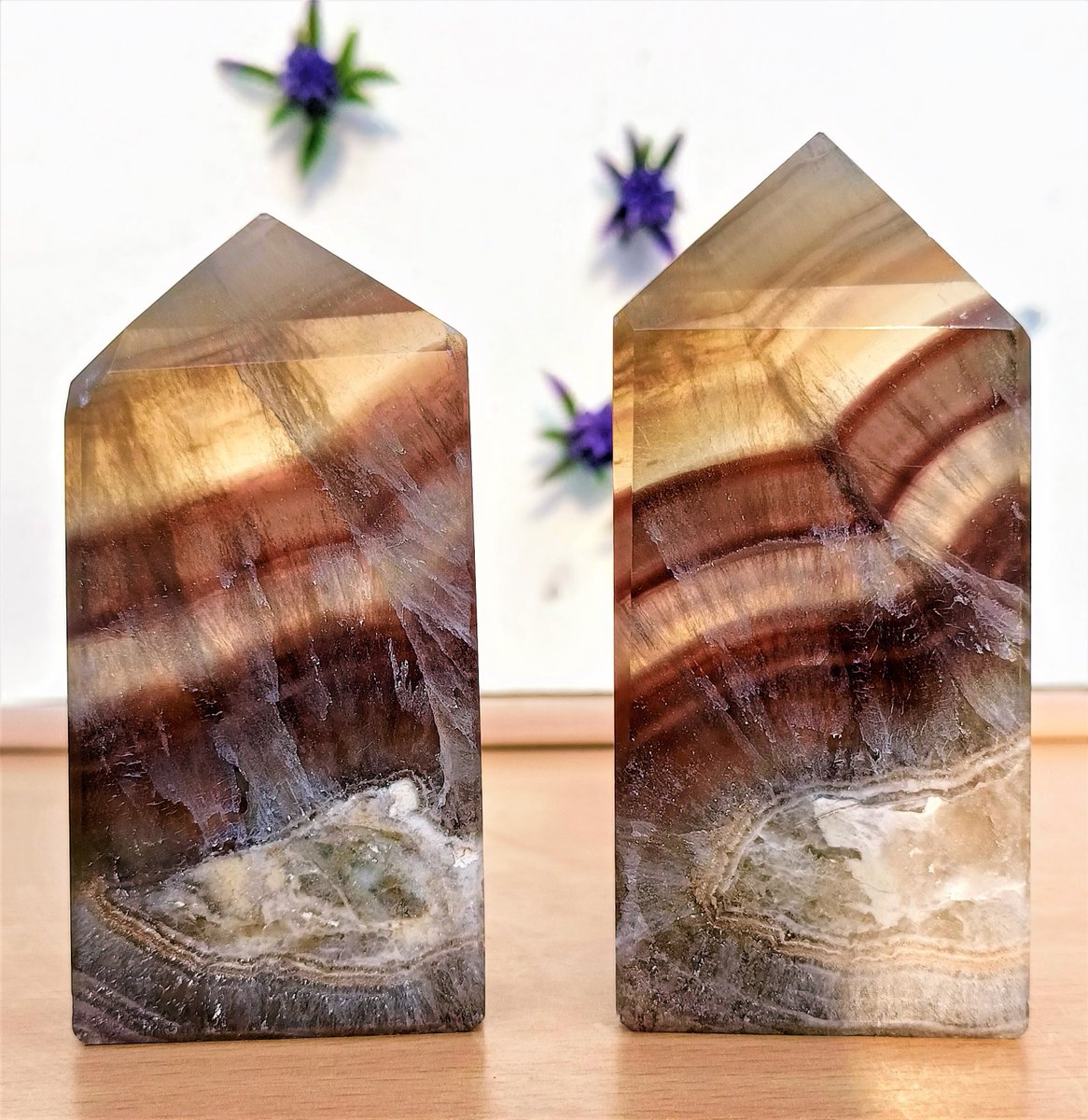 general_alfa's tweet photo. Thanks for the great review LaTanya L. ★★★★★! https://t.co/kEKv75fjDZ #etsy #rainbow #brown #crystalhealing #specimens #crystalquartz #brownfluoritestone #fluoritecrystal #brownfluoritetower #fluoritepointtower https://t.co/I7hvKjvpF8