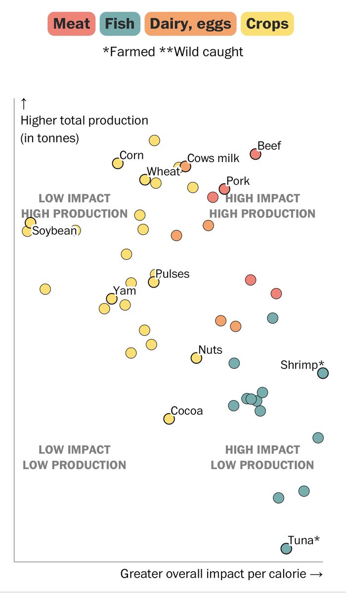 Magi Richani (@magirichani) on Twitter photo Our food choices matter. Soybeans are one of the least utilized superfoods in the US and I’m proud of the work we’re doing at <a href="/Nobellfoods/">Nobell Foods</a> to create dairy identical proteins from soybeans. It’s a more efficient and sustainable way to make dairy 🌱
washingtonpost.com/climate-enviro… Our food choices matter. Soybeans are one of the least utilized superfoods in the US and I’m proud of the work we’re doing at <a href="/Nobellfoods/">Nobell Foods</a> to create dairy identical proteins from soybeans. It’s a more efficient and sustainable way to make dairy 🌱
washingtonpost.com/climate-enviro…
