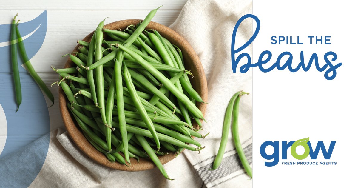Grow_Produce's tweet photo. Green beans, also known as string beans, are naturally free of saturated fats and cholesterol. Click here to contact one of our sales agents: https://t.co/5nu27KtUMm #GrowFreshProduce #Grow #GreenNetwork #BothaRoodt #Macro #Noordvaal #PortNatal #GreenBeans #StringBeans https://t.co/2zsKz03DrG