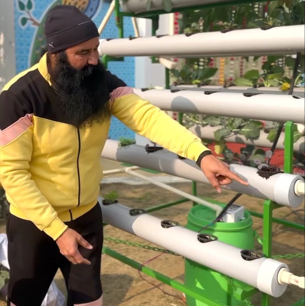 MOHITJI16488286's tweet image. Saint Gurmeet Ram Rahim Ji shared the innovative way of growing crops without the need of agricultural land and with minimal water. Through the tips given by Guruji, we can learn how to create a better environment. #AdvancedFarming #Organicfarming