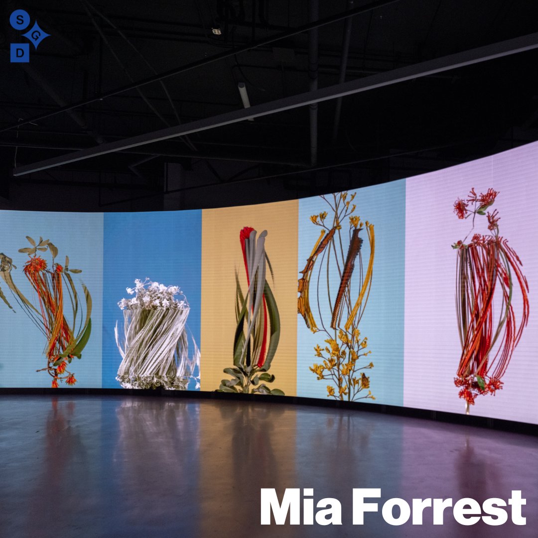 sugarglider_dig's tweet photo. This week, we sat down with Digital Artist, Mia Forrest, about her practice and thoughts on the digital world! Forrest was one of the first artists involved in Sugar Glider Digital, with two of her works being exhibited at our launch in July 2022. https://t.co/0XYT3uv8Bp https://t.co/5vePnUkdAM