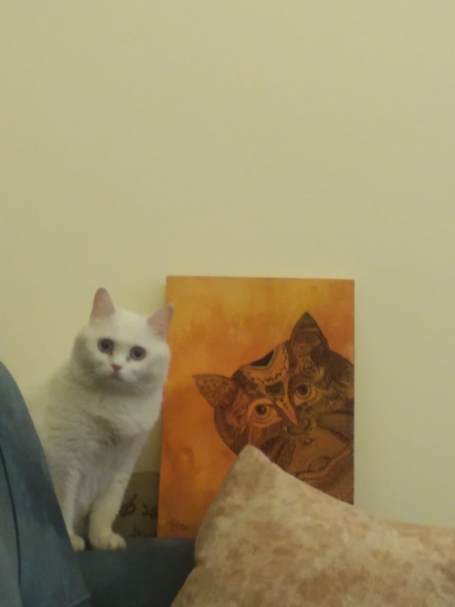 Partisanal1's tweet photo. For the love of kittens 😌😌
#doodles 
#artwork 
#creative 
#cats
#woodcanvas
#acrylicpainting 
#posca
#zenartfeatures #zendoodle https://t.co/RYKxjgkynu