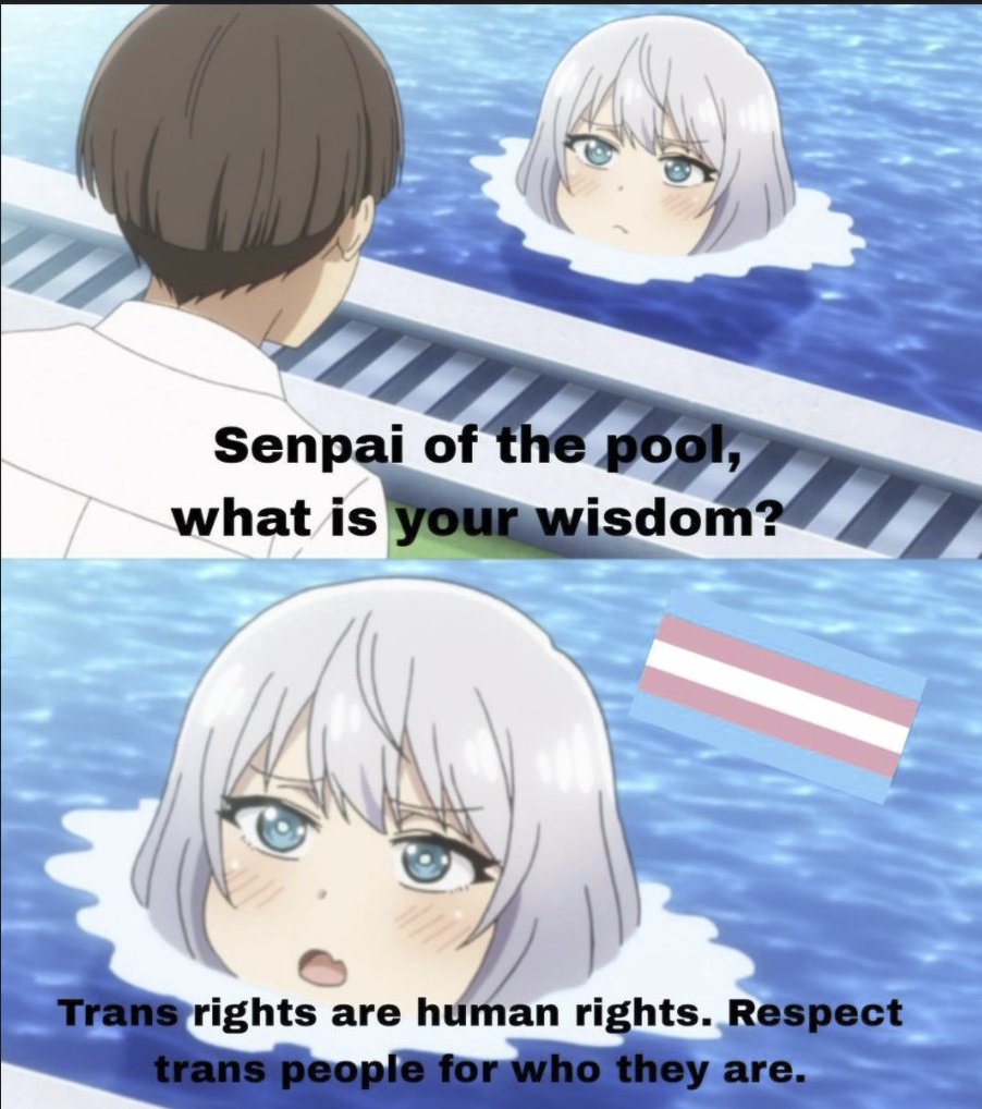 WholesomeMeme's tweet photo. https://t.co/DswxqcmBAf