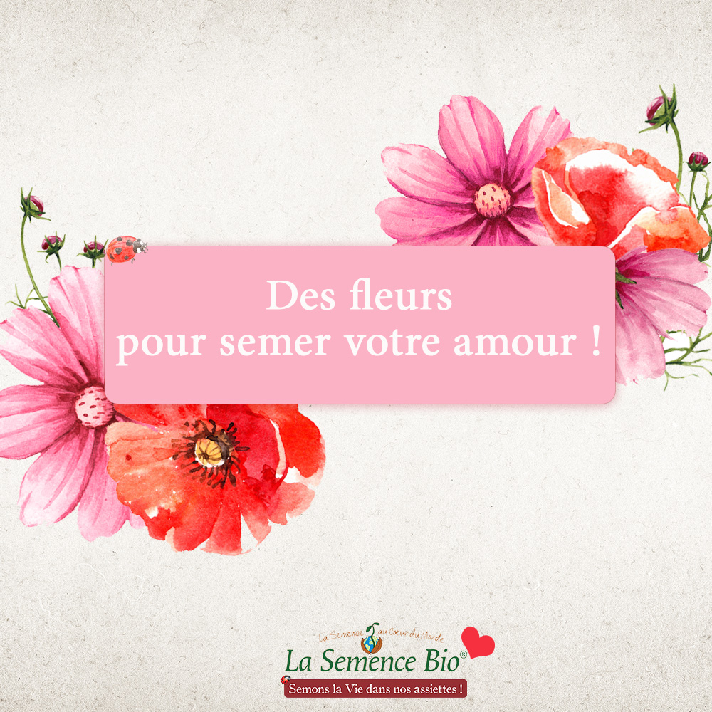 La Semence Bio tweet media