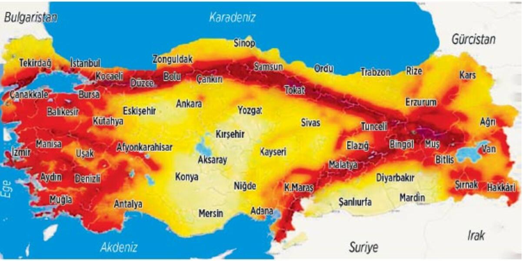 AnarşikCadı 💙💛⚓ tweet media