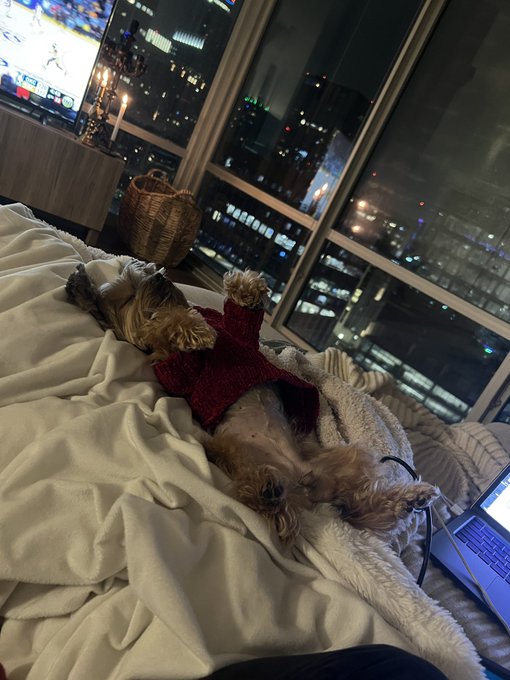 Goodnight 💤 https://t.co/bHohizSfBR