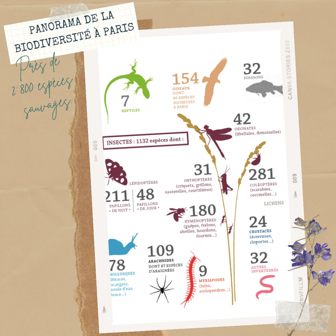 timonetpumbike's tweet photo. Cette année, nous avons décidé de faire les 10 ballades de l'Atlas de la nature de Paris. Les parcours nous emmènent à la rencontre des zones de biodiversité de la ville 🚴🚴‍♀️🌱
.
.
.
#atlasdelanature #parisfrance #veloaventure #veloaparis #wanderlustparis #villedeparis https://t.co/x5GGr4UKJG