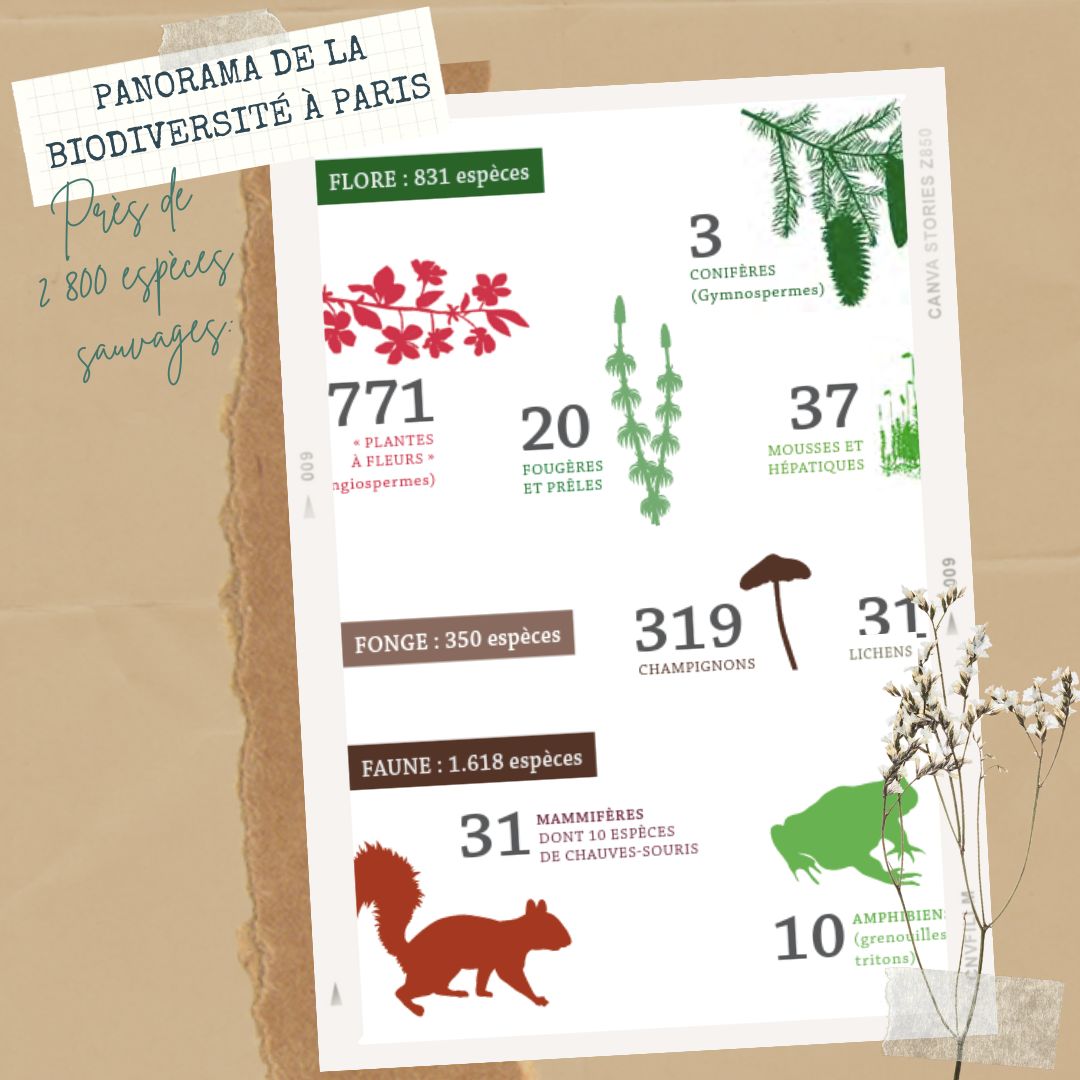 timonetpumbike's tweet photo. Cette année, nous avons décidé de faire les 10 ballades de l'Atlas de la nature de Paris. Les parcours nous emmènent à la rencontre des zones de biodiversité de la ville 🚴🚴‍♀️🌱
.
.
.
#atlasdelanature #parisfrance #veloaventure #veloaparis #wanderlustparis #villedeparis https://t.co/x5GGr4UKJG