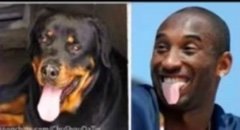 Kidd14Marvin's tweet photo. @M00KBURN3R @kobebryant @KingJames https://t.co/j1N3P6ACXw