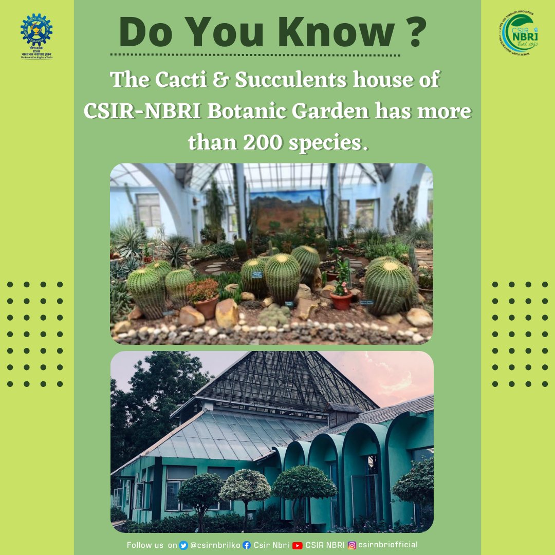 CSIR NBRI On Twitter Do You Know The Cacti Succulents House Of csir-nbri-on-twitter-do-you-know-the-cacti-succulents-house-of
