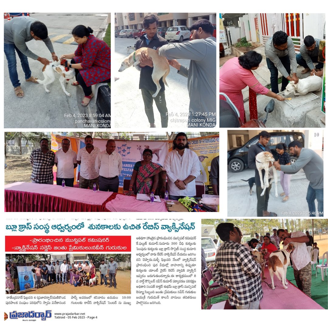Blue Cross Hyderabad tweet media