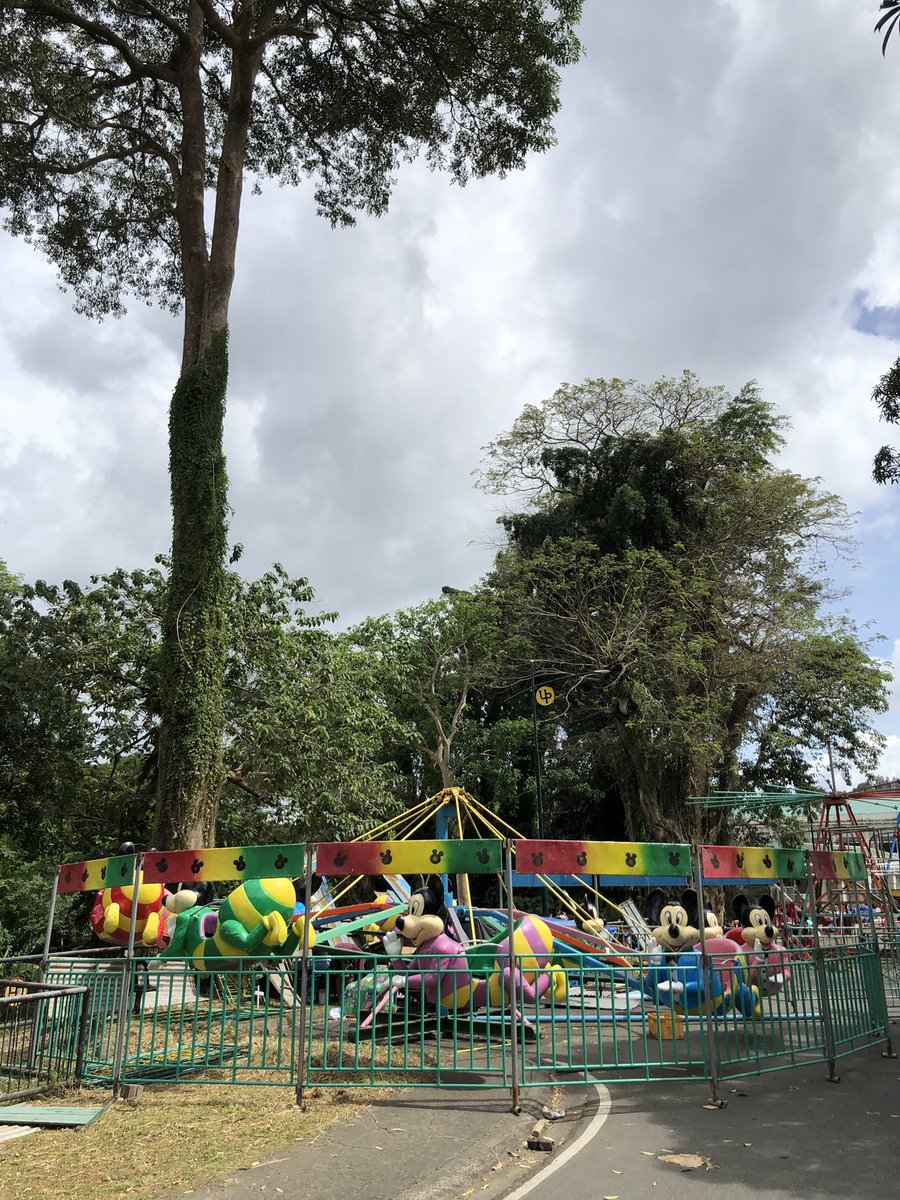 alvinestimadora's tweet photo. Days before #UPLBFebFair2023, here’s UPLB Freedom Park so far! https://t.co/DSitqETia7