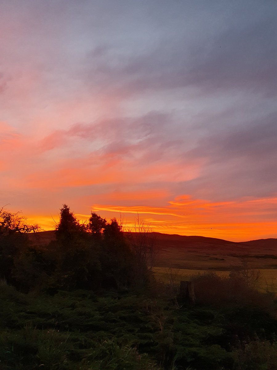 Been some really nice skies lately