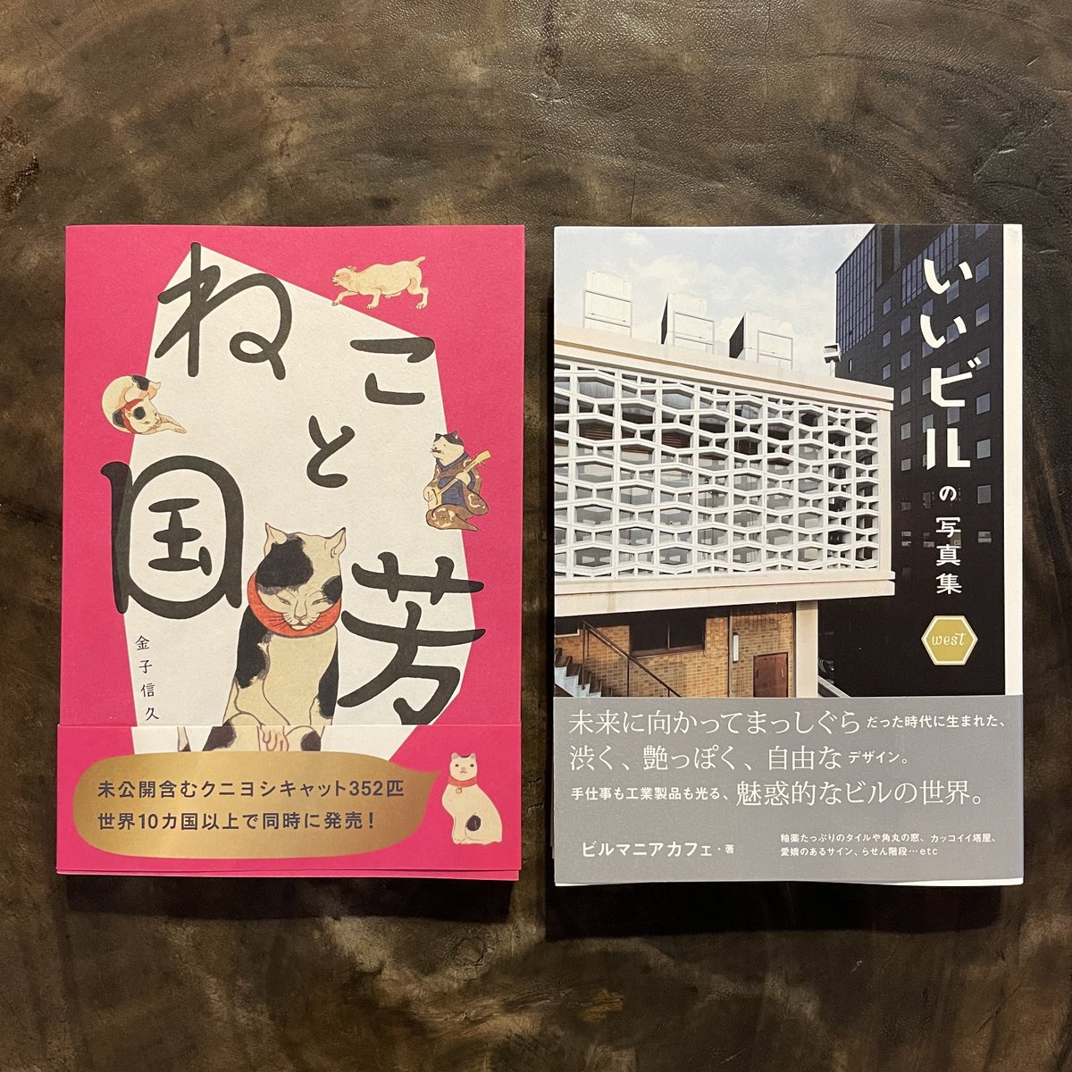 taiyounome2019's tweet photo. 新刊書籍いろいろ入荷〜📚 https://t.co/d0hRfCypTi