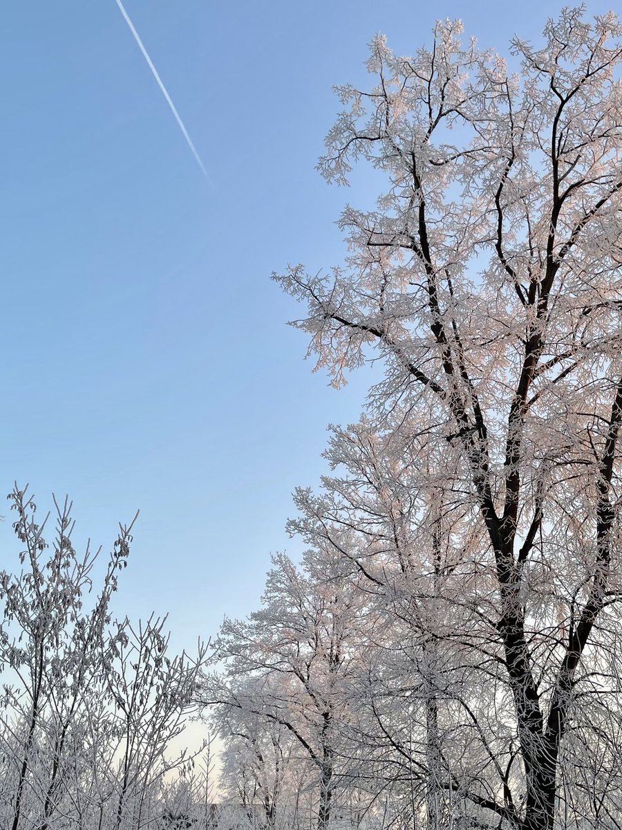 Der Weg zum Atelier heute morgen. #taucha #leipzig #winter