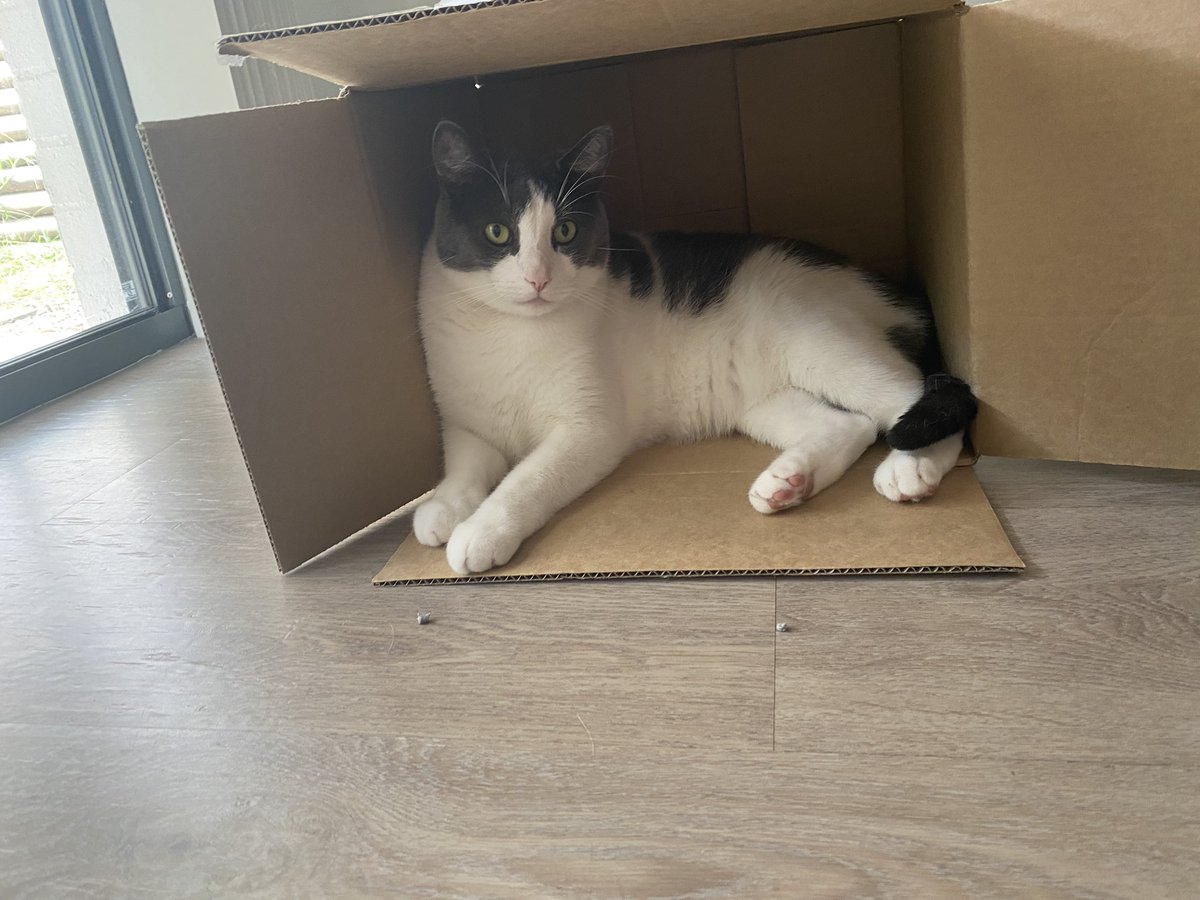 chewieCat1's tweet photo. imb lofve mine bocks https://t.co/7rIXB81TCQ