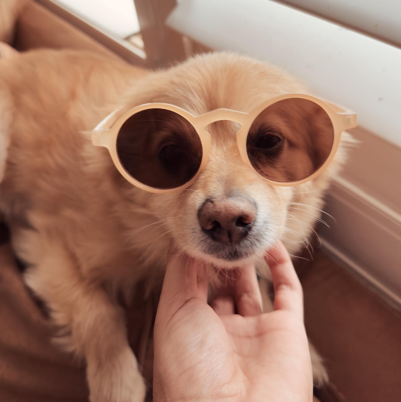 It's Humpday! Let's power through the week and make it to the weekend 💪 Keep pushing and stay motivated 💥