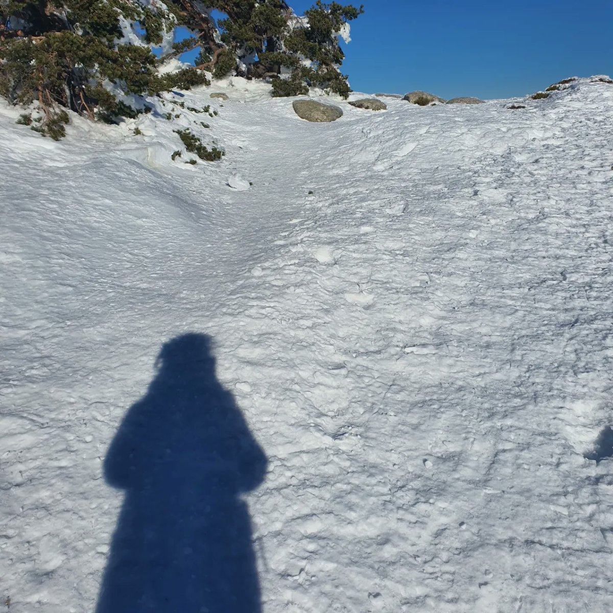 Recordatorio: dedícate a crear, creer y crecer.
Reminder: dedicate yourself to create, believe and grow.
#8Feb #Leadership #Believe #grow