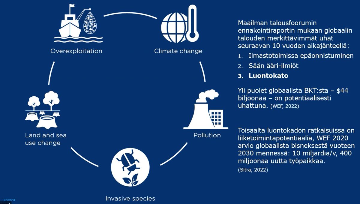 Pohjois-Savon sopeutumistyön Kick-Startissa <a href="/ramboll_fi/">Ramboll Finland</a>'n <a href="/SaaraVauramo/">Saara Vauramo</a>'n teema: Kestävyysmurros sopeutumisen ja luontokadon näkökulmasta. ⚠️Luontokato on nostettu merkittäväksi globaalin talouden uhaksi. ➡️Toisaalta luontokadon ratkaisuissa on paljon liiketoimintapotentiaalia.