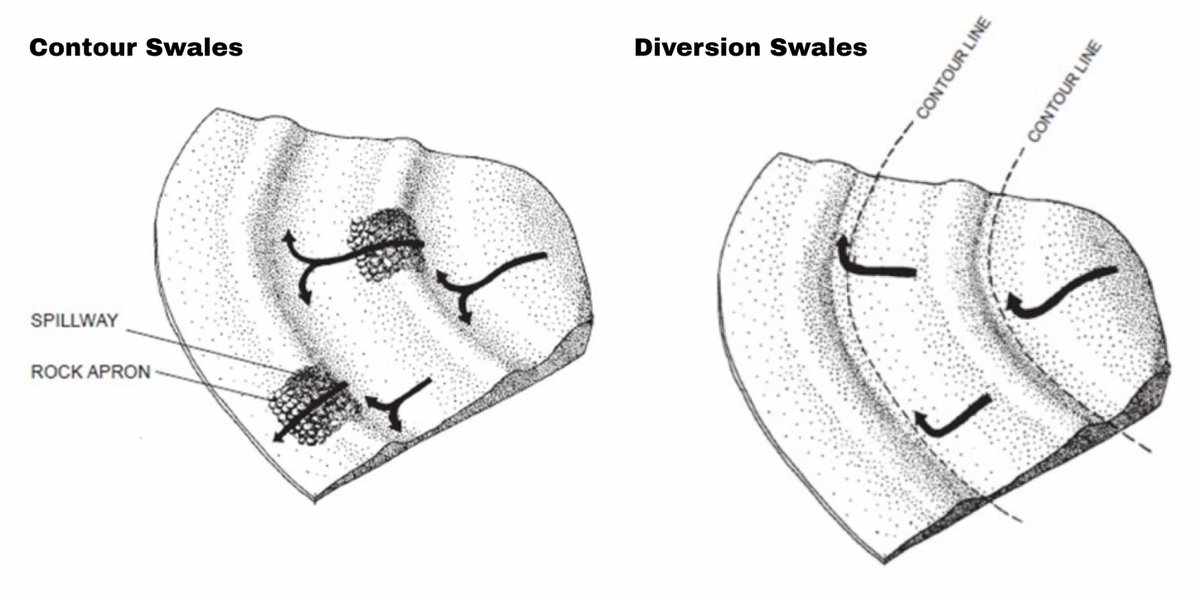 Balkep's tweet image. Flood control: By slowing down the flow of rainwater, contour swales can help to prevent flash flooding and reduce the risk of damage to property. (2/9)
#wildlifeponds #gardendesign #swales #polyculture #permaculture #organic #growyourownfood #green #plant #mygarden #forestgarden