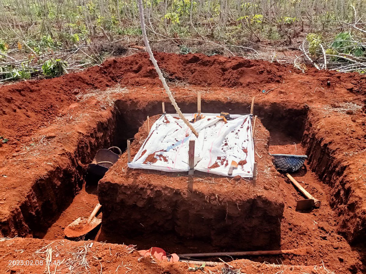 RemiCardinael's tweet photo. Huge ongoing work done by Vira Leng, PhD student @ASSETProjectSEA in Cambodia ๐ฐ๐ญ Full Voronoi trench down 1 m depth to quantify #root biomass, distribution and root:shoot ratio of cassava in no-tilled and ploughed systems - 5 excavations per system @Cirad @AidaDirecteur https://t.co/uwr7u5OsFH