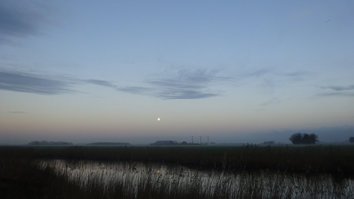 Pietsje Hannema Greidanus tweet media