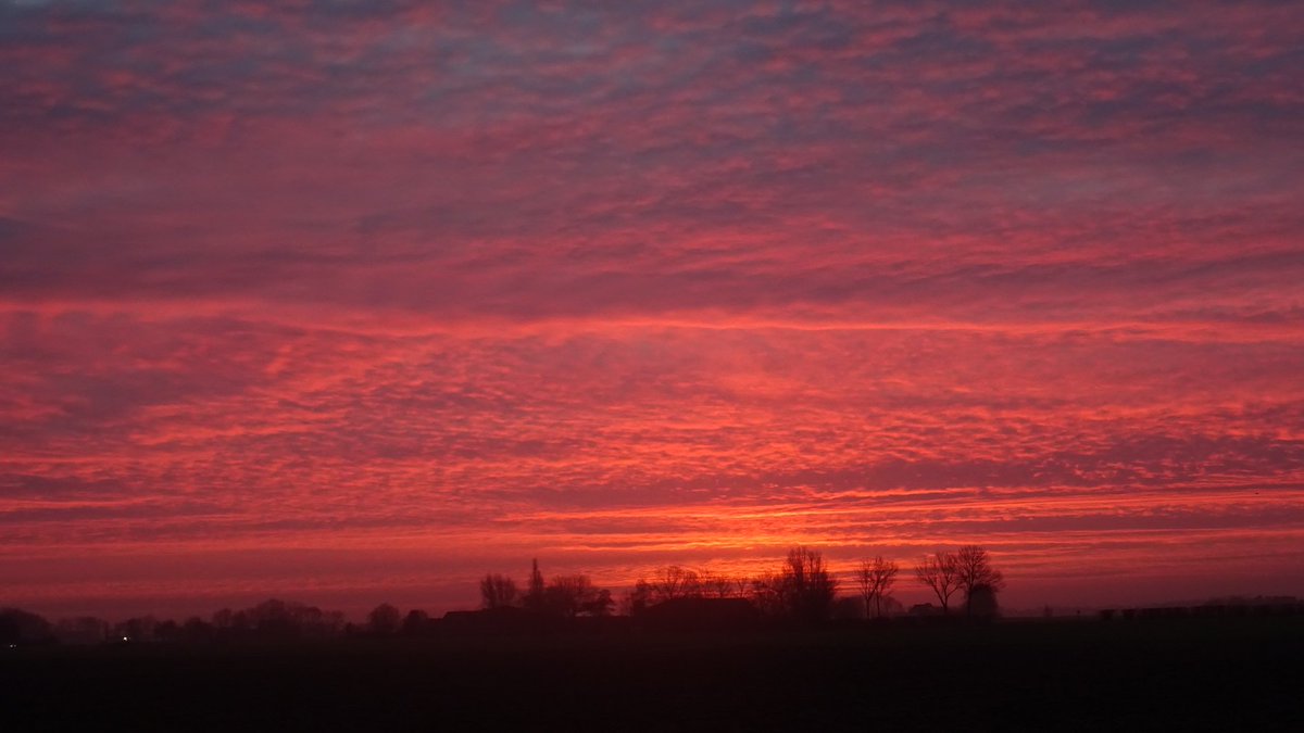 Pietsje Hannema Greidanus tweet media