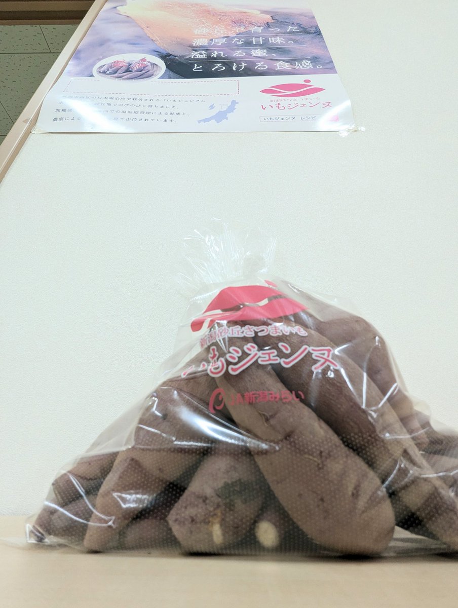 imo_sienne's tweet photo. 早いものでいもジェンヌの出荷も終盤戦です。
今年は終盤にかけて芋が小さくなっております。

小ぶりでお家で焼きやすい、食べやすい形ですので、ぜひご賞味ください🍠
#いもジェンヌ https://t.co/YJ2JGMysNH