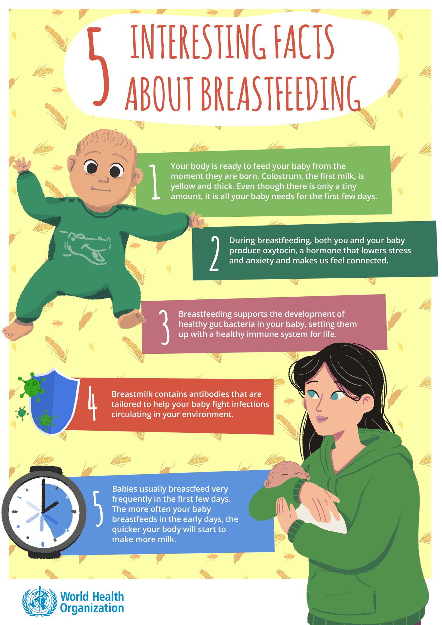 World Health Organization (WHO) on Twitter "Breastfeeding provides