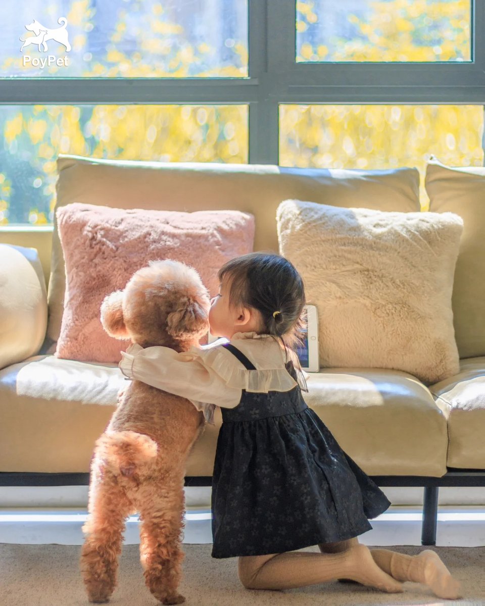 poy_pet's tweet image. Who can say no to a sweet dog!😘
#Poypet #DogStyle #DogDaily #DogInfluencer #lovedog #doggy #dogsarefamily #dogoftheday #dogwalk #dogwalking