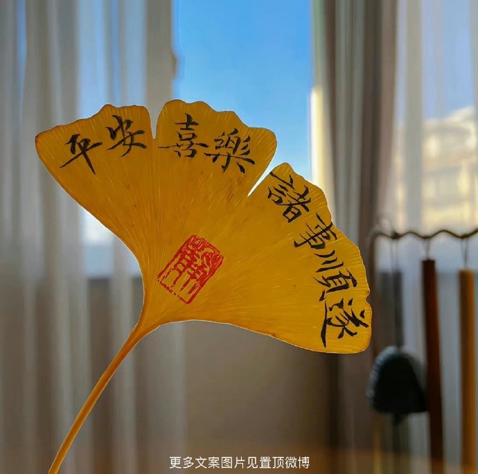 Iheart_JB16's tweet photo. '天会晴 雨会停
没什么事会一直糟糕透顶'' https://t.co/TZtNP3fWGM