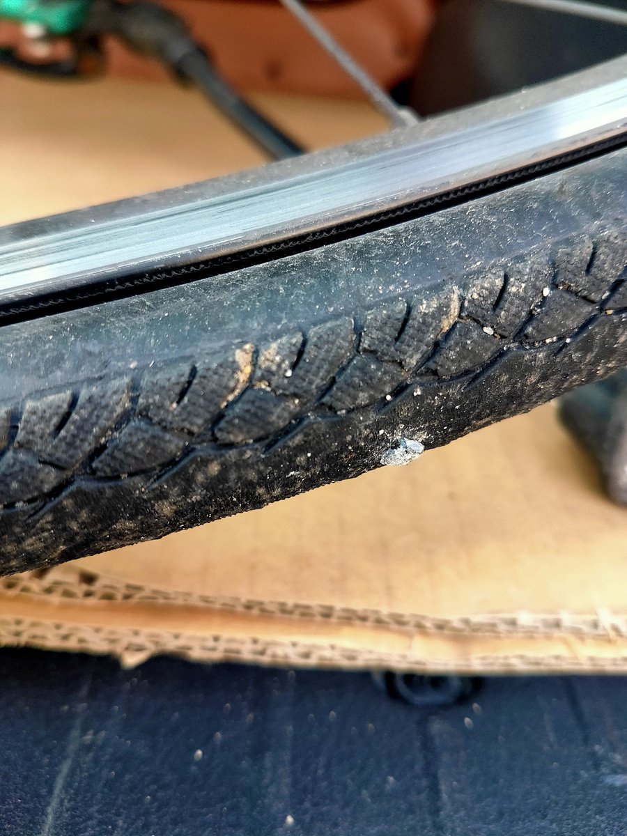 tubasapp's tweet image. パンクは悲しいけど、おれの車自転車そんなに苦労なく載せられてかっこいいなと思えて幸せ🙏
#幸せ上手
#プロボックス
#probox
#プロボックスカスタム