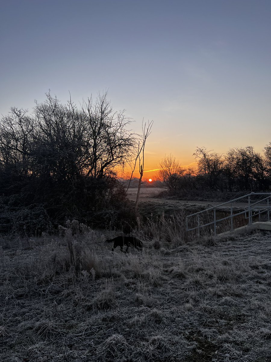 Vhari Russell tweet media