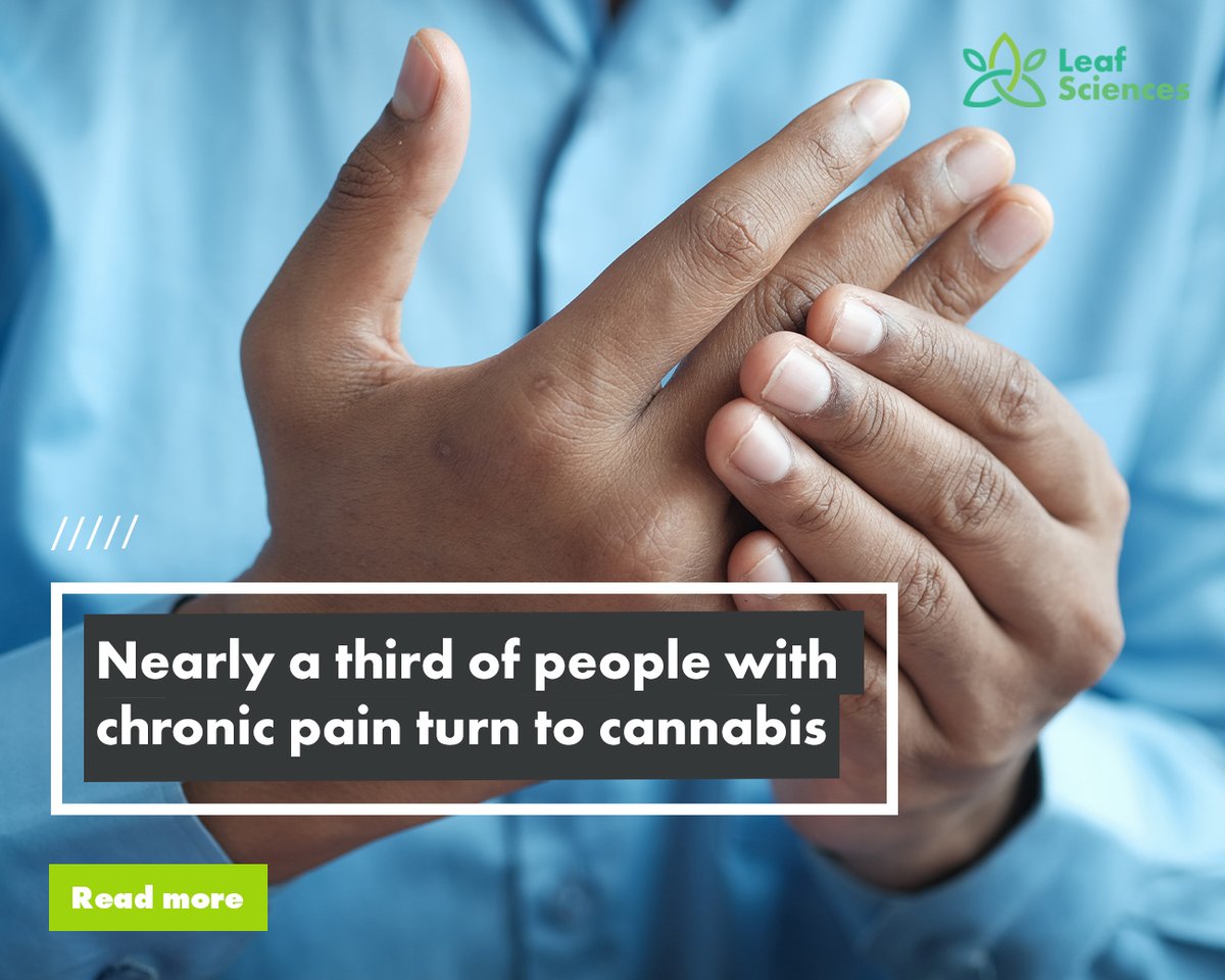 A study found that nearly one third of adults in the US with chronic pain to #cannabis for pain relief to reduce their reliance on pain medication.

Learn more about it in this article from <a href="/CannabisHnews/">CannabisHealth</a>: ow.ly/ARm750MKrfx