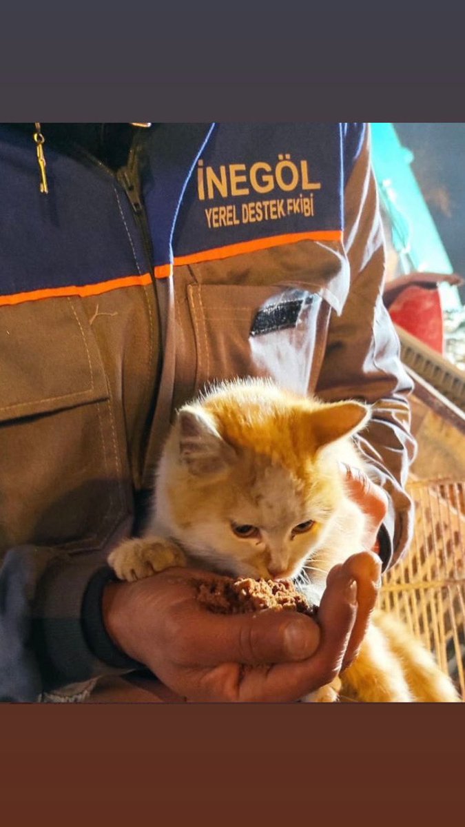 "Umutsuz durumlar yoktur. Umutsuz insanlar vardır. Ben hiçbir zaman umudumu yitirmedim."

Mustafa Kemal Atatürk

#deprem #HalukLevent