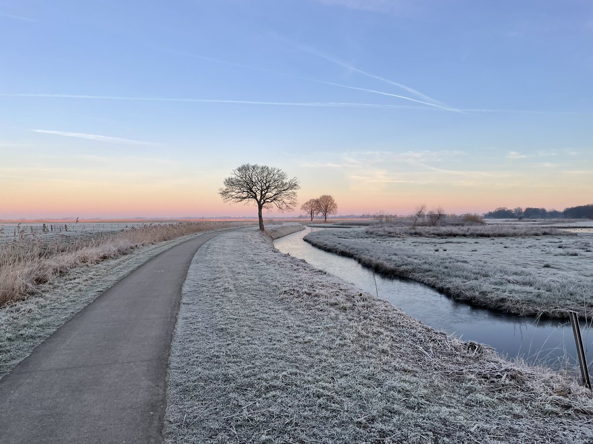 Bert Hidding tweet media